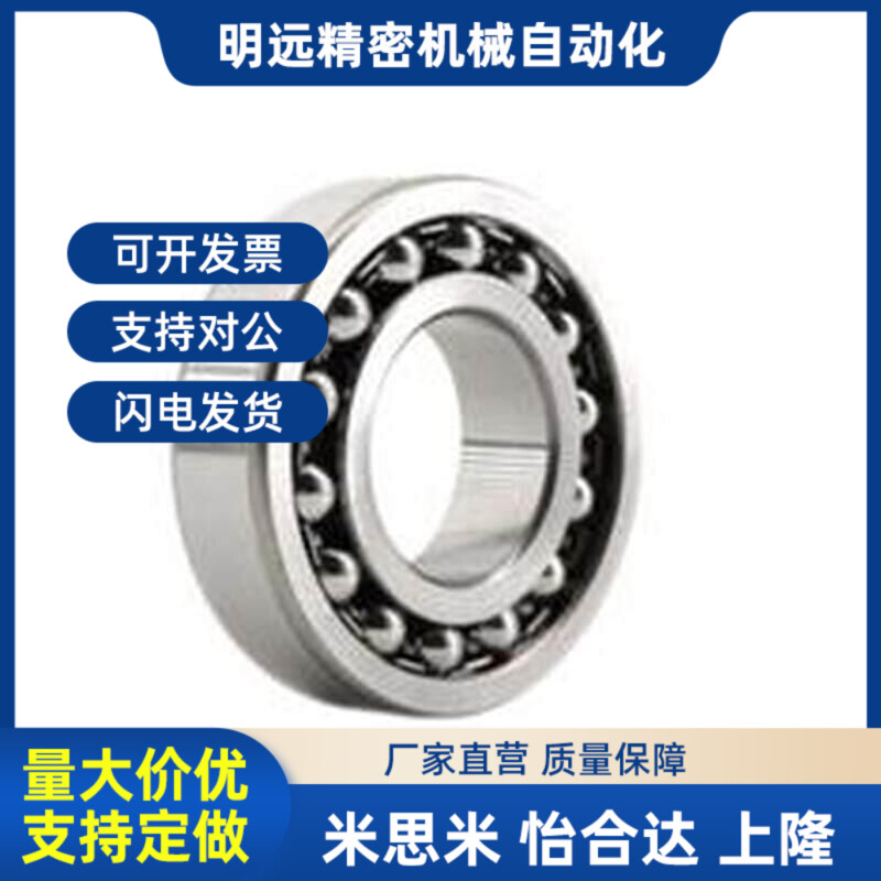 调心球轴承 BBT1h204/1205/1206/1207/1209/1308/1309/2308AKTN