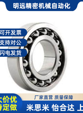 调心球轴承 BBT1h204/1205/1206/1207/1209/1308/1309/2308AKTN