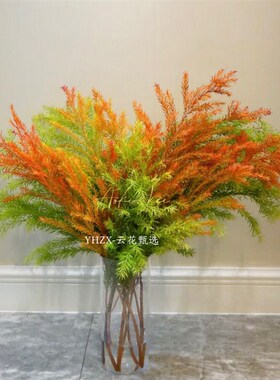 【云花甄选】油画色红色橙色黄绿色千层金组合鲜切枝云南直发空运