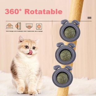 For Kitties Reliable 极速Cat Cats Toys Ball Edible Nip