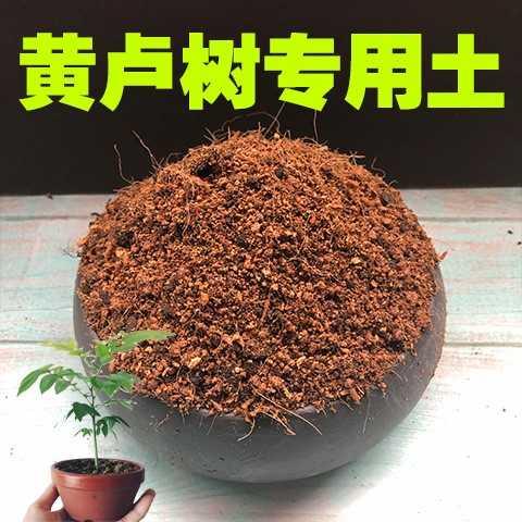 速发酸性肥料盆景土壤黄栌种植专用沙质绿植营养树土肥土盆栽土黄