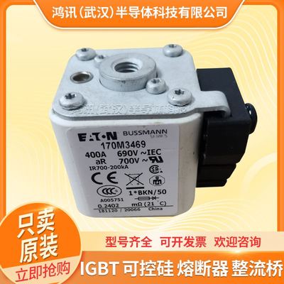 快速熔断器170M3464/3465/3466/3467/3468/3469/3470/3471保险丝