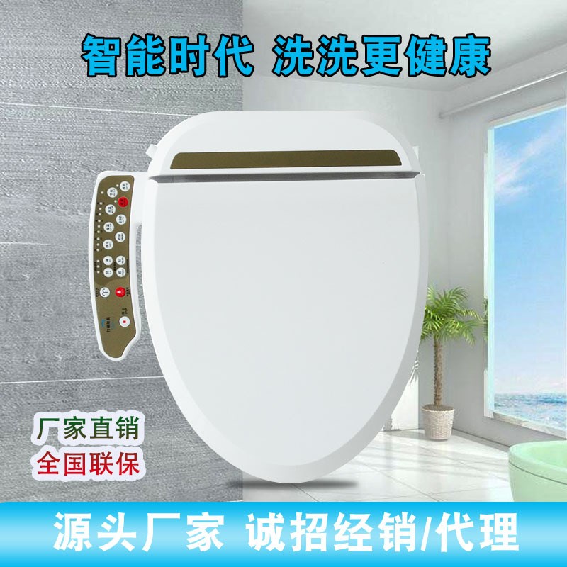 通用型智能马桶盖 全自动冲洗烘干助便按摩坐便器