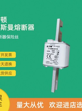 全新快速熔断器保险170M3971170M3972 170M3973 170M3974