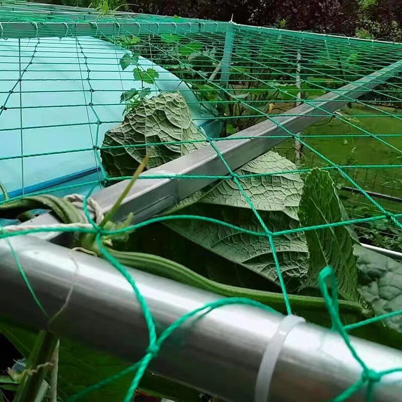小众高货爬藤网种植网葡萄架百香果黄瓜丝瓜植物固定网园艺花卉植
