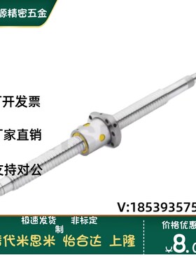 E-KBS/C-BSSCH/BSSCHK/BSSTH/BSSTHK3205 3210 3232滚珠丝杠丝杆