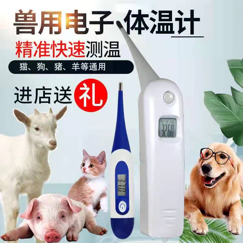 养殖场兽用电子体温计体温宠物猪牛羊快速测温猪用电子肛温温度计