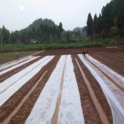 工厂销新款新厂促黑色地膜薄膜塑料薄膜黑膜农用膜大O棚膜种S菜覆