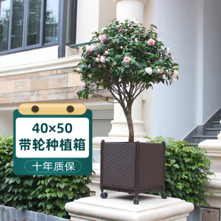家庭园艺种菜黄瓜种植箱塑料花盆家庭种植箱阳台种植花槽菜园
