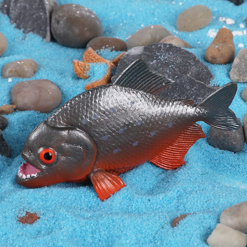 厂家儿童b科教仿真实心食人鱼海洋海底生物模型吃人鱼食人鲳水虎