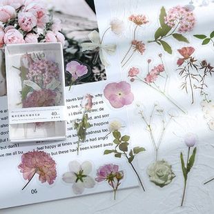 Sticker Series Flower 推荐 Creativ Selling Boxed Season 40Pcs