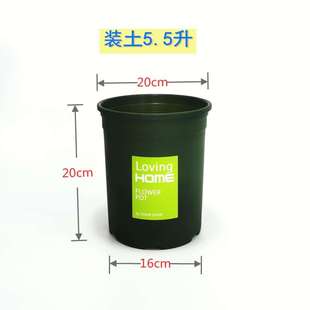 绣球加厚花盆绿萝欧月种植盆 顺展塑料大号月季 10个1.5加仑