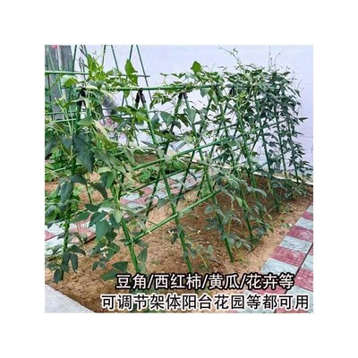 架豆角神器西红柿丝瓜种黄瓜架子架杆种菜灯笼花爬藤架植物攀爬架