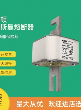全新快速熔断器保险170M6167 170M6168 170M6169 170M6170
