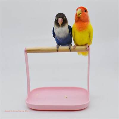 Bird Cage Stand Parrot Training Perch Stands Playground