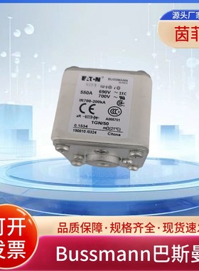 熔断器170M5565 170M5566 170M5567 170M5568 170M5588 170M5589