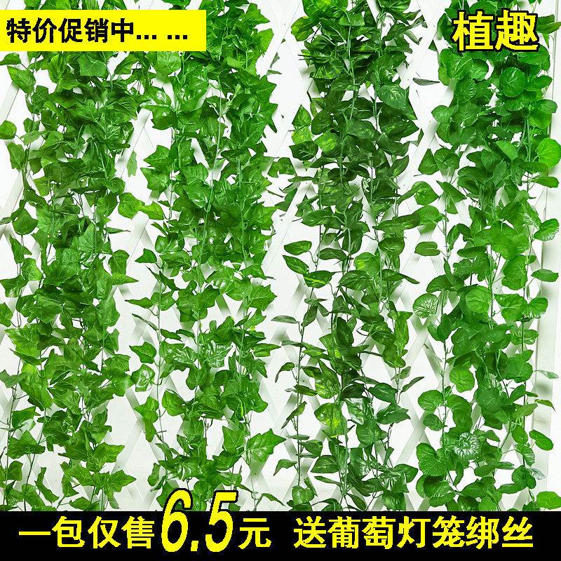 新品仿真绿箩植物假绿m叶藤条藤蔓吊顶塑料葡萄叶仿真花装饰管道