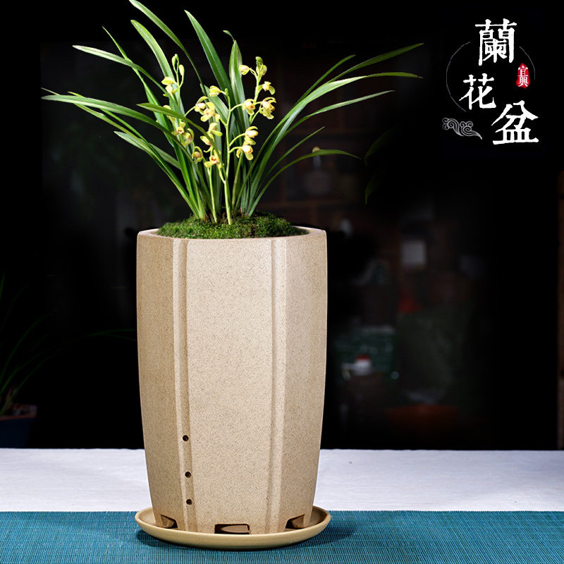 宜兴紫砂花盆兰花盆古典全手工大号带托盘中国风客厅桌面花盆,鲜花速递/花卉仿真/绿植园艺,花盆,淘宝优惠券,粉丝福利购,淘宝优惠卷