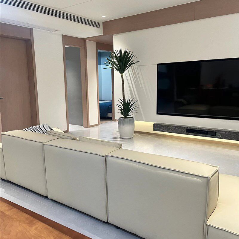 太空铁造型龙血树大型室内盆栽客厅植物吸甲醛办公室绿植荷兰铁