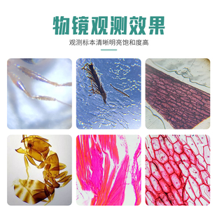 光学195显微镜生物专用物镜半平场消色差4X10X20X40X60X100X高倍