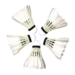 12Pcs/Set Badminton Shuttle cocks Feather Badminton  Outdoor