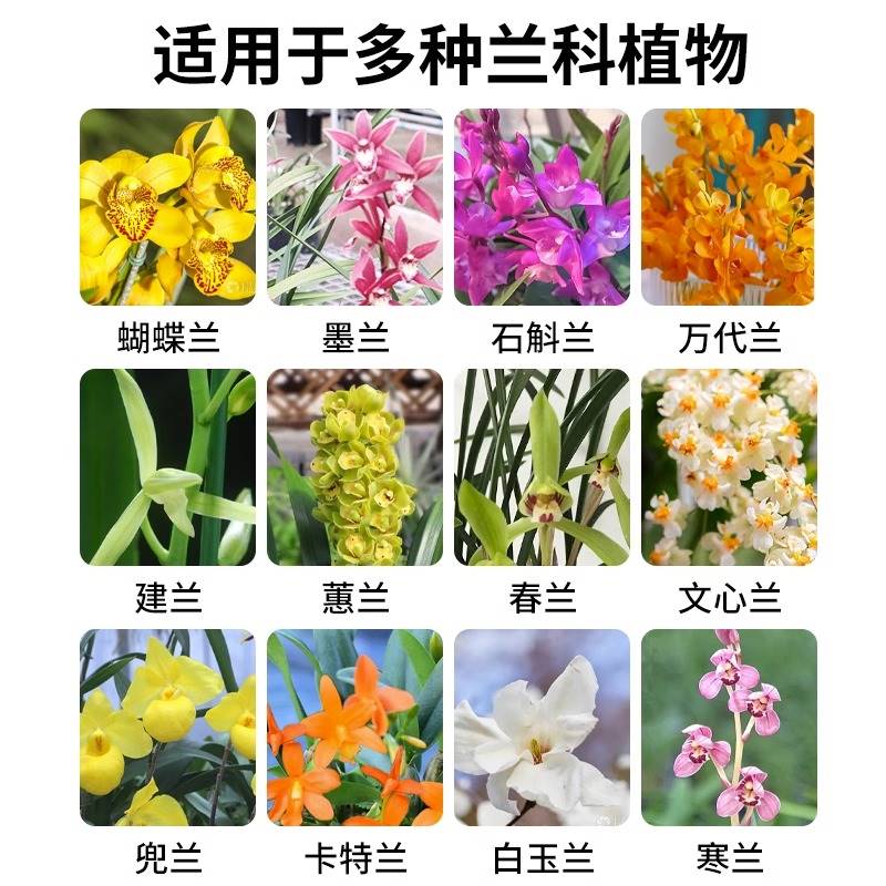 速发兰花专用杀菌药焦尖黑斑病专用药治黄叶黑斑烂根爆根剂黑班-封面