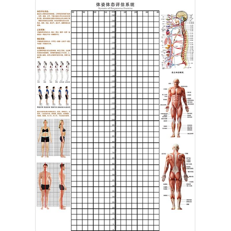 人体体态评估表健身房身体分析体测表墙贴瑜伽馆墙纸身体评估图,家装主材,定制壁画,淘宝优惠券,粉丝福利购,淘宝优惠卷