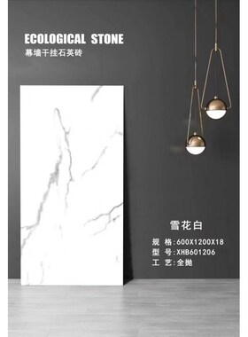 晋江直供600*120q0通体大理石瓷砖地砖客厅地板砖幕墙砖石英砖