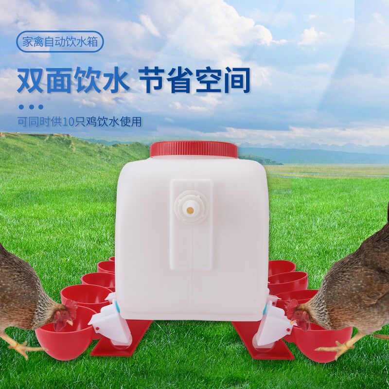 养鸡用自动饮水器家禽鸽子鹌鹑饮水碗喝水碗自动喂水器鸡水桶水碗