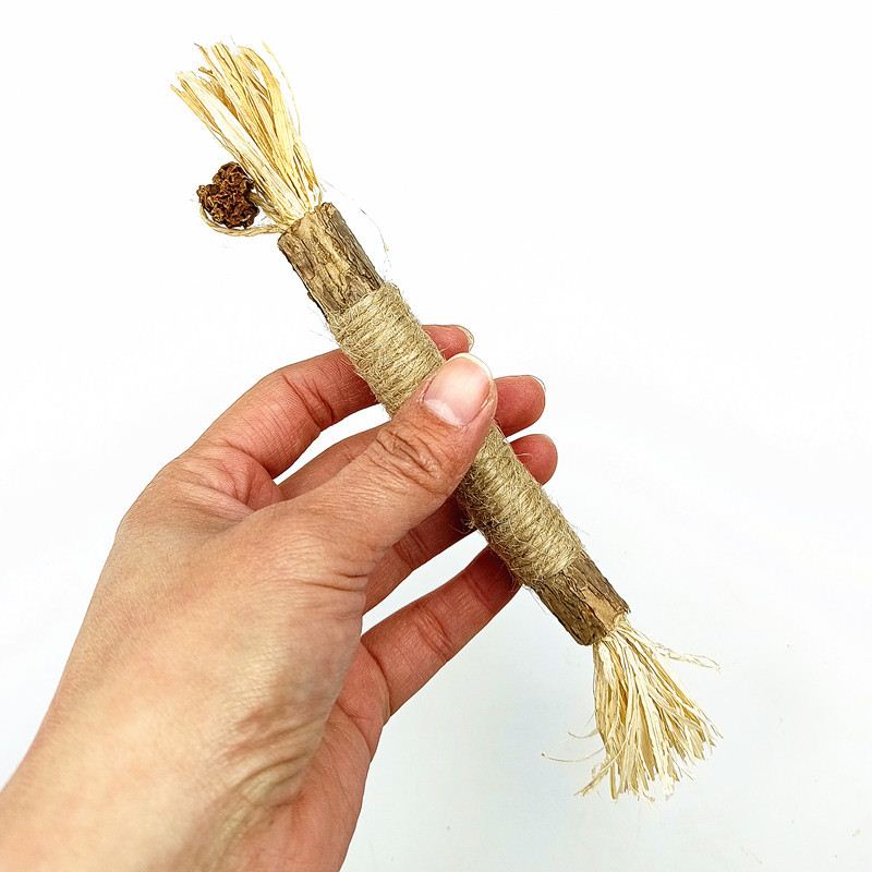 Pet Cat Wooden PolygonumiStick LaEfste Gras  Cat Toy Molar S 宠物/宠物食品及用品 橡胶球/球形玩具 原图主图