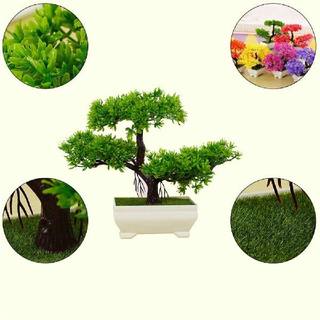 极速For Home Potted Plant Table Decor Office Eco-friendly