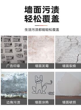 墙面自喷漆乳胶防水翻新修复补墙膏墙体清洁N修补白色墙壁去污神