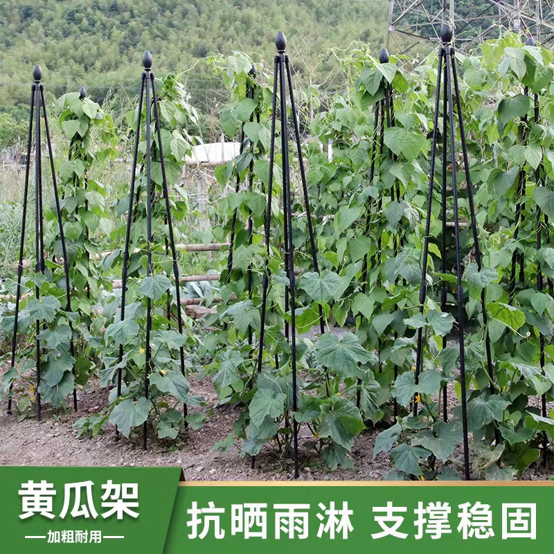 四脚花塔黄瓜爬藤架四季田园阳台花架月季攀爬植物支撑杆防倒伏