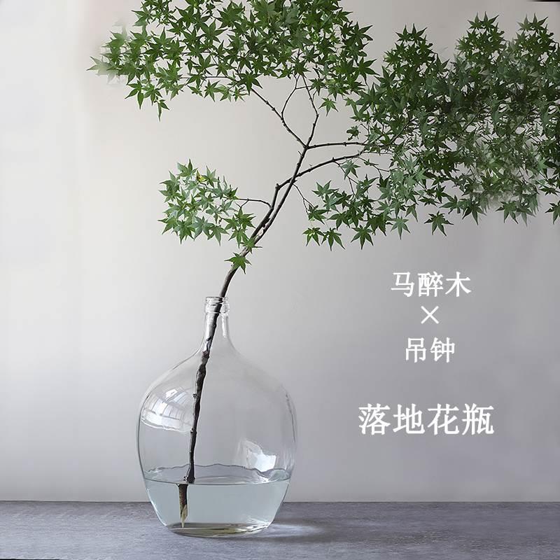 现货马醉木玻璃大肚花瓶r 透明吊钟树水培 北欧插花小口大肚子落