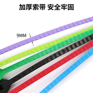 大号挂牌标牌扎带果树标识牌 物流吊牌挂签塑料封条安能韵达一体式
