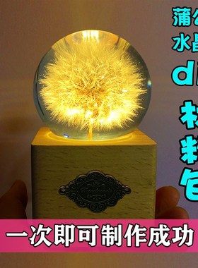 蒲公英标本水晶球diy制作原材料包天然干花永生花手工暖场活动