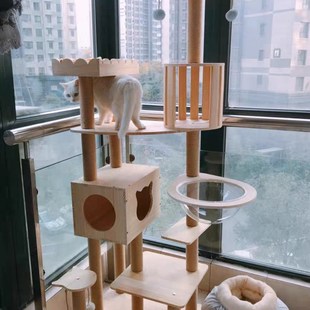 缅因大型猫爬架松木猫窝豹猫加粗跳台抓柱太空舱布偶人猫共用家具