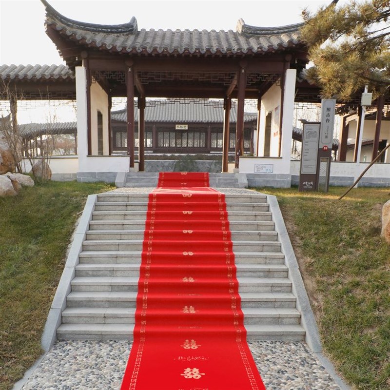 结婚红地毯一次性结婚用婚礼婚庆场景布置喜字红色大加厚楼梯客厅