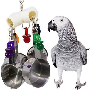 Bpots Chewing rort rtring Stainless Toy Steel Bisd