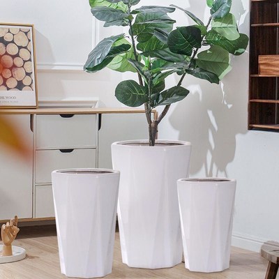 陶瓷花盆特大号口径40以上的简约白色种树大绿植客厅落地发财现货