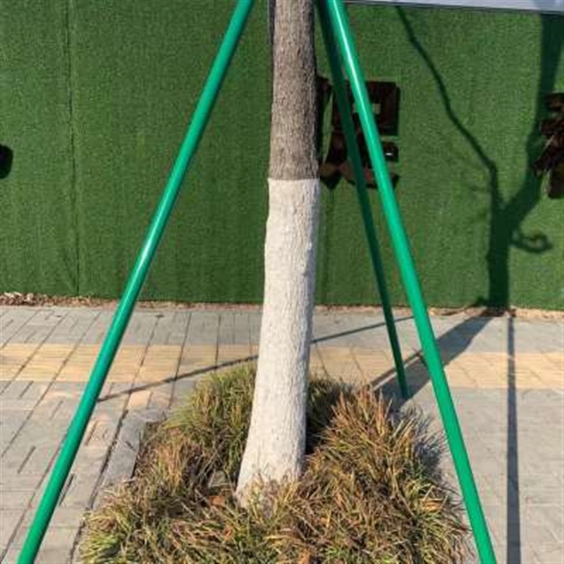 行支撑防风木铁抱箍大树支撑架固定器苗园林道木树木支撑杆树支架
