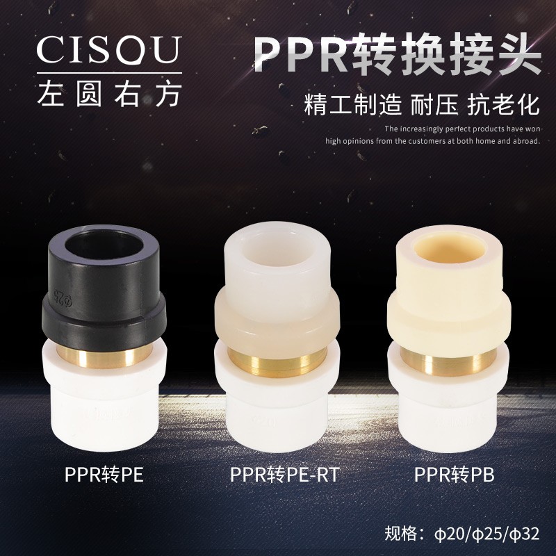 PPR转PE接头自水管配件4/6分1寸PERT PB变换管件20/25/32直通直接