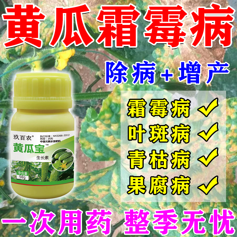 进口黄瓜霜霉病特效药治黄斑叶斑灰霉病白粉枯靶斑病拉直素专用叶
