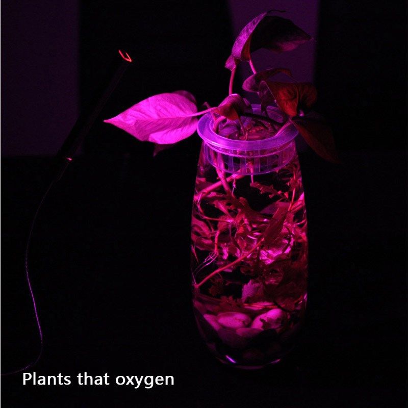 Plant Grow Light Full Spectrum LED Strip Flower Phyto Lamp R