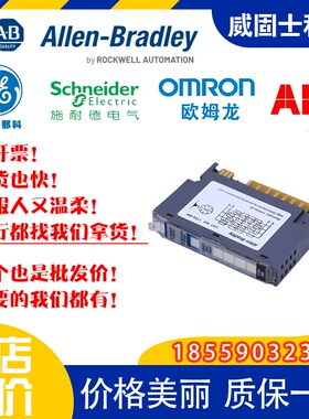 1762-IF22FO MicnoLogix 4通道模拟组合模块 2进2出Aller-Bradley