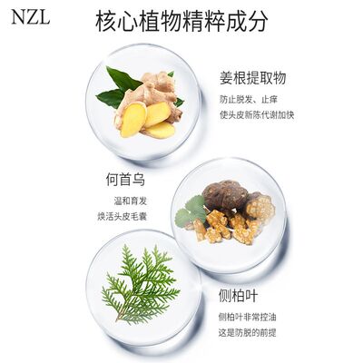 推荐NZL洗发水防脱育发洗发水控油修护男女通用洗发露正品官方旗