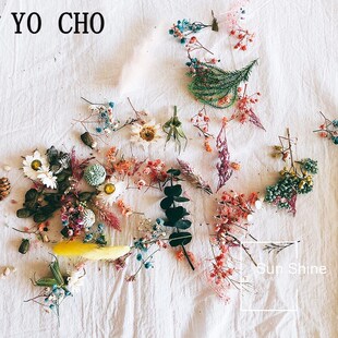 Flower Dry Aromatherapy Dried Accessories Kind Box DIY
