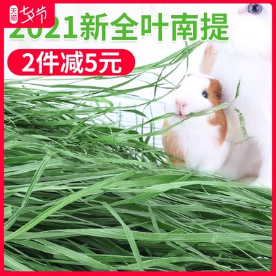 新2021嫩草兰干南提提摩西草猫草兔子草料兔粮牧草龙干Z荷烘猪粮