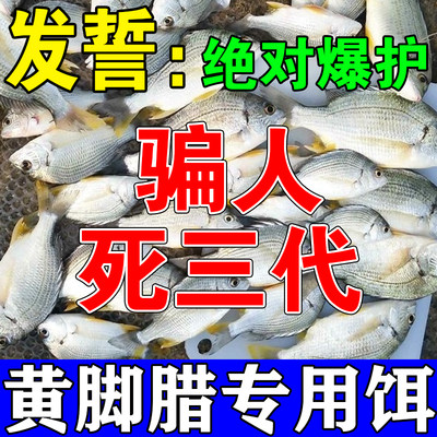 网红黄脚腊饵料海钓黑黄翅立鲷浅海域野钓主攻黄鳍鲷鱼专用鱼饵添