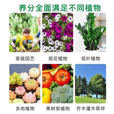 多肉植物营养液通用型盆栽家用水培花卉多肉绿萝肥料室内绿植花肥